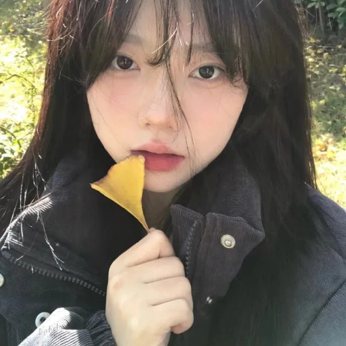 边城浪子粤语